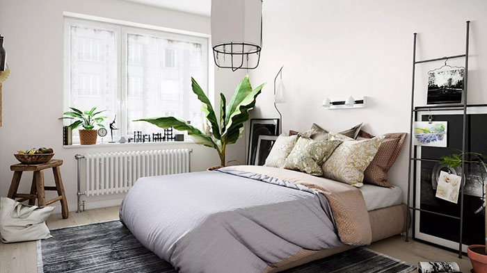 4 Jenis Tanaman Untuk Mengatasi Insomnia